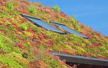 Wychnor Bridges living roof systems